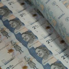 Ingreso Solidario: cómo funcionará el año próximo y cuándo sabré si seré beneficiario