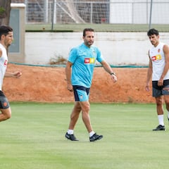 Baraja trabaja en cuadro