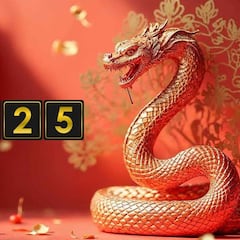 Año Nuevo Chino: ¿cuándo es y qué animal representará al 2025?