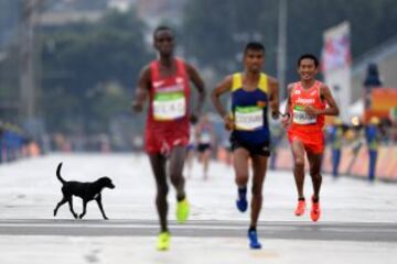 Imágenes para el recuerdo: las mejores capturas de Río 2016