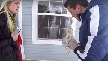 Un hombre moreno en anorac azul sujeta a un gatito congelado mientras una mujer rubia en anorac negro se lo mira con cara de preocupación.