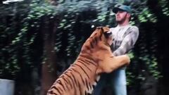 Hamilton jugando con un tigre.