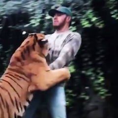 Hamilton juega con un tigre ¡y casi le cuesta un disgusto!