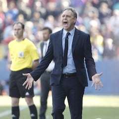 ¿Quién sustituiría a Del Bosque?