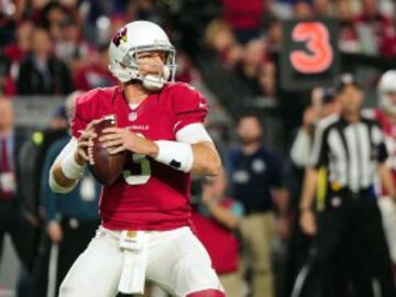 Los Cardinals se impusieron a los Vikings en casa y, aunque ajustadamente, sumaron su séptima victoria consecutiva (su mejor racha desde 1974) y se aseguraron un puesto en los playoffs. Carson Palmer (310 yardas de pase y 2 touchdowns) batió el record de la franquicia de más touchdowns en una temporada, que estaba en poder de Kurt Warner.