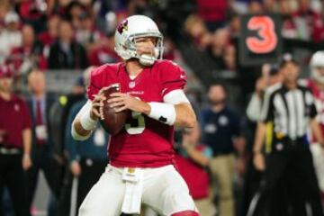 Los Cardinals se impusieron a los Vikings en casa y, aunque ajustadamente, sumaron su s¨¦ptima victoria consecutiva (su mejor racha desde 1974) y se aseguraron un puesto en los playoffs. Carson Palmer (310 yardas de pase y 2 touchdowns) bati¨® el record de la franquicia de m¨¢s touchdowns en una temporada, que estaba en poder de Kurt Warner.