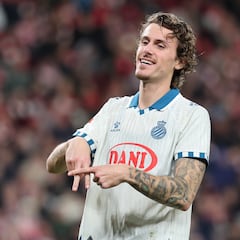 Estos periquitos son leones