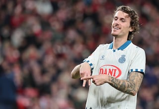 Estos periquitos son leones