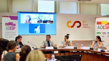 El Consejo Español para la Igualdad en el Deporte se reúne para promover avances en la presencia de mujeres directivas