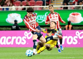 “En ningún momento se vio comprometido el resultado de Chivas”