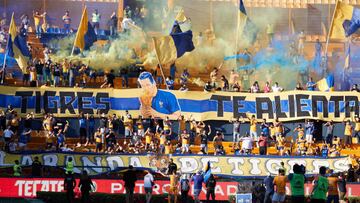 Mauricio Doehner da pistas sobre un nuevo estadio para Tigres