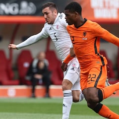 Holanda ve brotes verdes