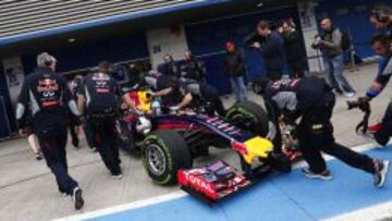 Red Bull ha sido uno de los equipos que ha sufrido los problemas del motor Renault.