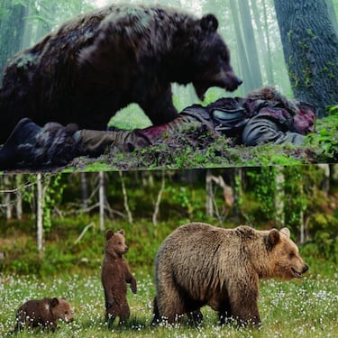 5 películas que exageraron la realidad: estos animales no son tan peligrosos para el humano