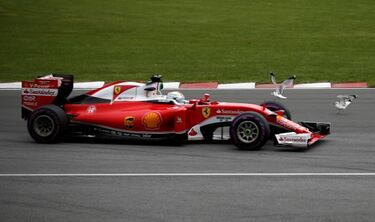 Vettel y la pareja de gaviotas que 'arruin' su ventaja con Hamiton