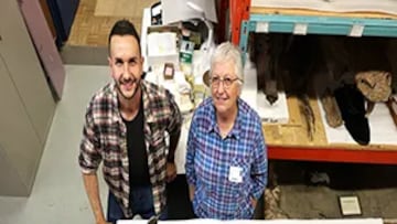 Científicos movieron una roca en 2001 y apareció un cazador del Jurásico: 24 años después, descubren el propósito del ‘dragón espada’