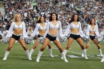 Cheerleaders de los Oakland Raiders.