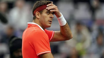Del Potro no jugará el US Open