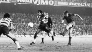 PAÑUELOS. El segundo gol de Cruyff levantó una gran ovación.