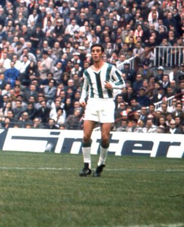 Vicente Del Bosque jugó cedido en el Córdoba durante la temporada 71-72, siendo ésta la última campaña que el Córdoba compitió como equipo de Primera División. Coincidió con Manuel Sanchís y Fermín Gutiérrez en el Real Madrid el curso posterior. 