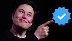 Twitter Blue: Elon Musk permite ocultar el check azul a los suscriptores que se avergüenzan 