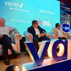 Por qué Vanti incrementó tarifas de gas y cómo reaccionó el Gobierno