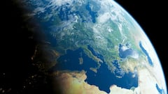 Un profesor de Oxford señala un animal como sucesor potencial de los humanos en la Tierra: “Especie constructora de civilizaciones”