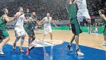 <b>FORTÍN. </b>El Madrid sólo ha perdido un partido esta temporada en Vistalegre y busca ventaja de campo.