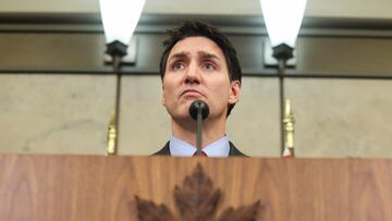 US neighbors respond to Trump trade war 2.0