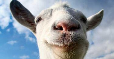 Goat Simulator cambia su modelo de actualización