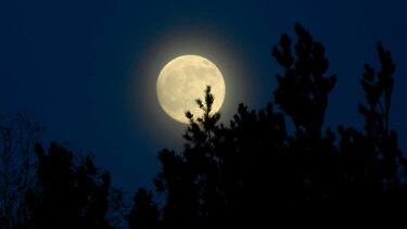 El sueño de una noche de verano