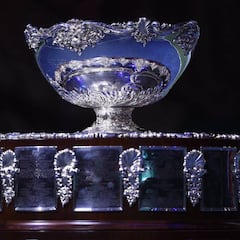 Marbella o Granada conocen este miércoles si son la sede
del España-Gran Bretaña