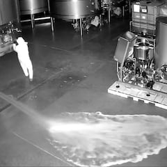 Giro en el caso Cepa 21: detienen a una mujer por derramar 60.000 litros de vino