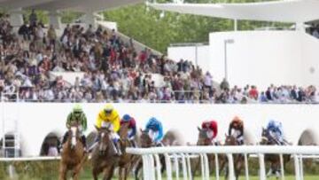 Las carreras vuelven al Hip&oacute;dromo de La Zarzuela.