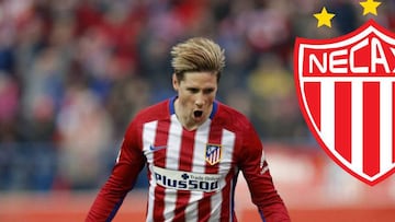 Necaxa desmiente fichajes de Niño Torres y Omar Bravo