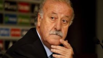 El seleccionador, Vicente del Bosque.