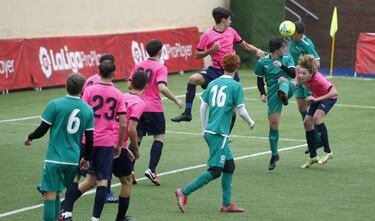 Las universidades americanas, a por la cantera española