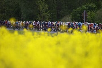 El pelotón durante la tercera etapa del Giro de Italia.