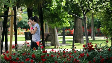 DVd 898 (26-05-18) Alergia primaveral en el parque del retiro. © Samuel Sanchez