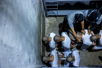 La administracin Trump deport el pasado 31 de marzo a El Salvador a 17 personas acusadas de pertenecer a las organizaciones criminales Tren de Aragua y MS-13. La deportacin se produce en el marco de un acuerdo entre Washington y El Salvador para trasladar all a los inmigrantes que segn la administracin americana pertenecen a grupos delictivos pese a que dos fallos judiciales prohibieran las deportaciones exprs basadas en la Ley de Enemigos Extranjeros.