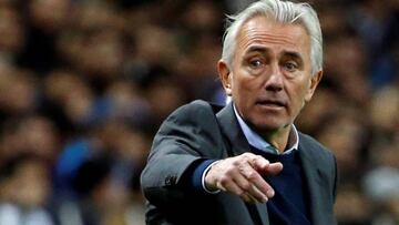 Bert van Marwijk, nuevo seleccionador de Australia.