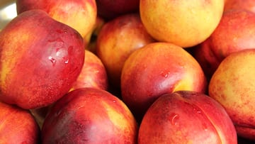 Spanish police discovered 5,000 illegally grown patented nectarines, putting the farmer at risk of a hefty fine.