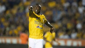 Julián Quiñones, Tigres