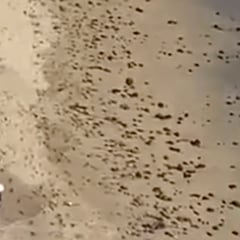 HELP: un kitesurfista se salva milagrosamente de las sombras de viento