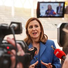 Catalá: “¿Lim? Las instituciones no podemos sacar a un señor de su propiedad por el artículo 33″