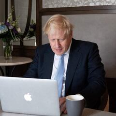 "Hecatombe de los cerdos" por el Brexit: no hay trabajadores en los mataderos