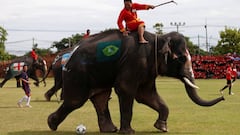 Elephants kick-off World Cup fever in Thailand