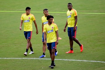 Esta camiseta la ha usado la Selección Colombia en las últimas fechas FIFA y la Copa América Brasil 2019.