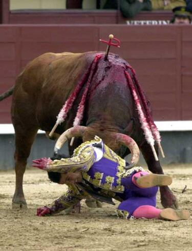 Toros bravos afeitados y toreros muertos