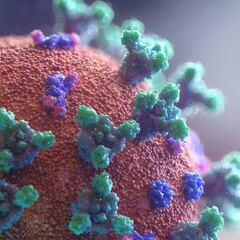 Colombia llega al cuarto pico de la pandemia del coronavirus